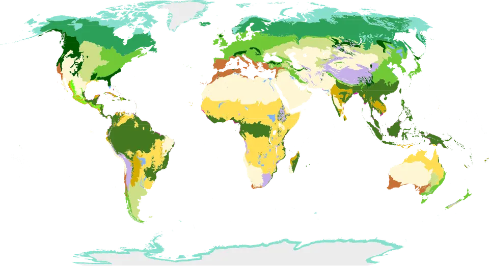 Barevná mapa světa rozdělená na hlavní suchozemské biomy.