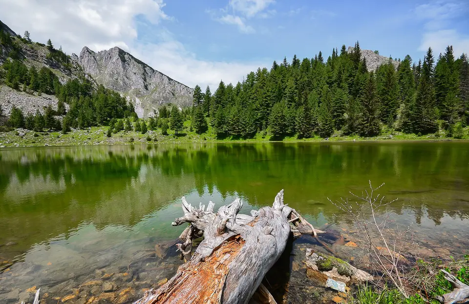 Horské jezero v zalesněné krajině pod vysokými svahy.