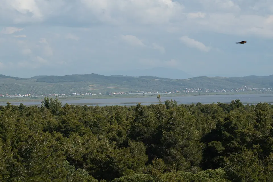 Mělká pobřežní laguna s okolní nížinou.